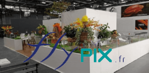 SALON DU-CHOCOLAT : vue générale du stand, avec un grand comptoir de présentation de café ou de chocolat.