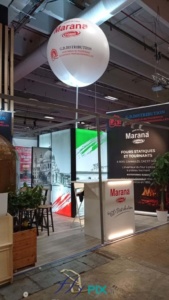 Le stand de la société GD Distribution, en cours d'installation ; un ballon sur mat sphérique D = 1.5 m a été déployé, il permettra aux visiteurs de le voir de loin pendant le salon professionnel.